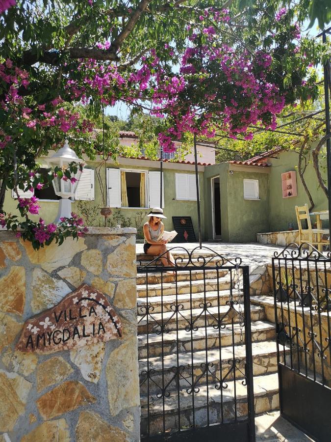Villa Amygdalia Dilináta المظهر الخارجي الصورة