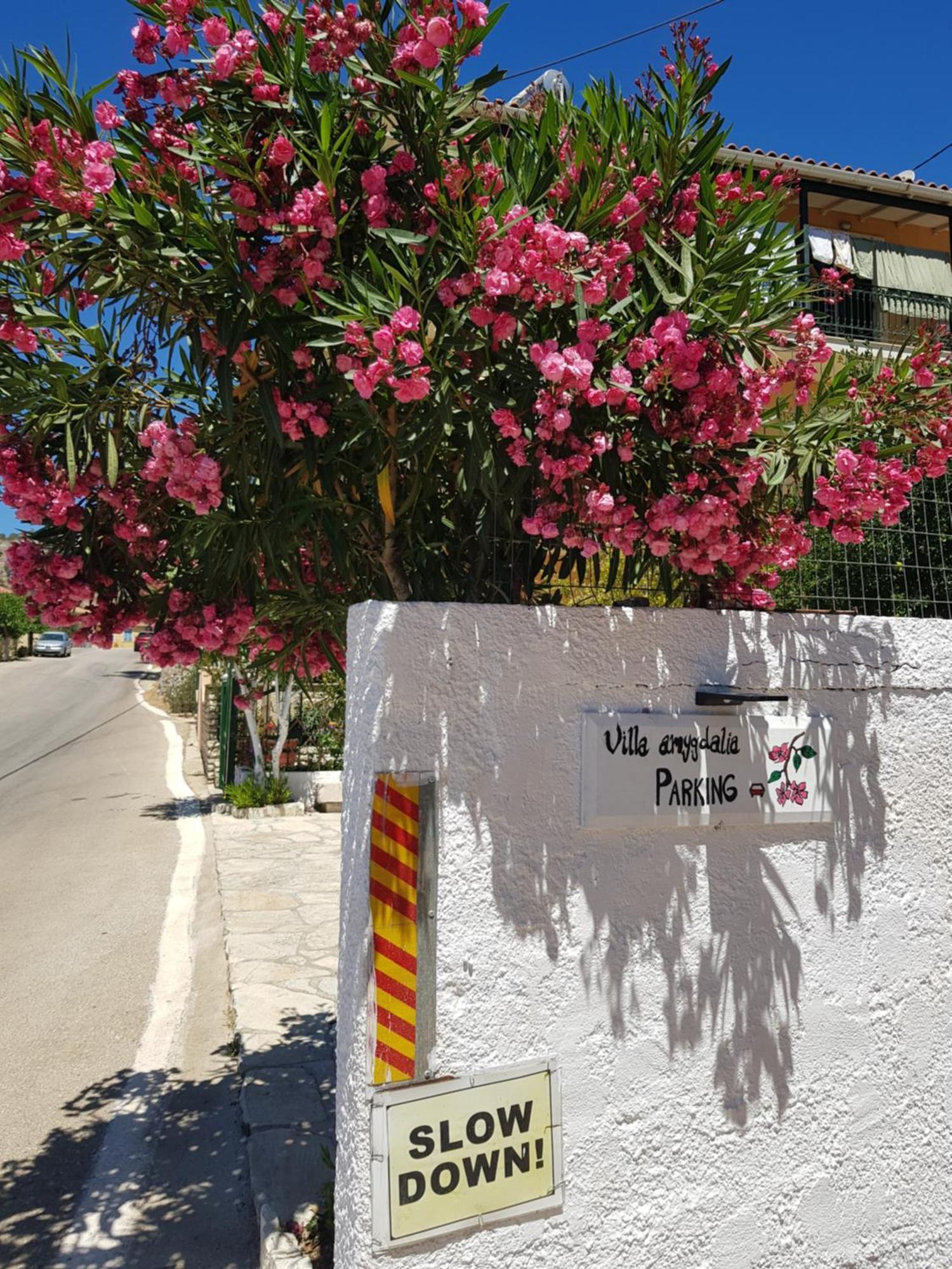 Villa Amygdalia Dilináta المظهر الخارجي الصورة